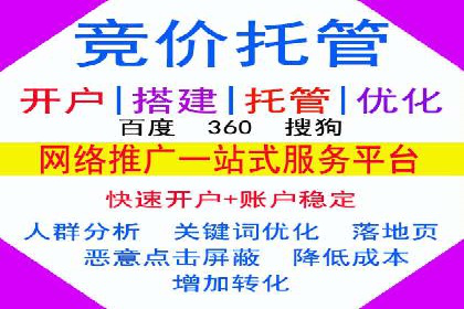 某企业选择sem代运营公司的决策过程及效果展示